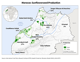images\MO\cropprod\Morocco_Sunflowerseed_preview.png